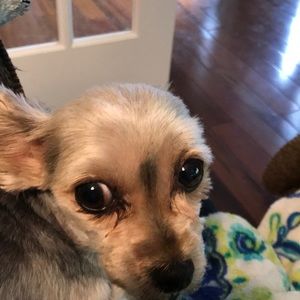 Meet your Posher, Kelly